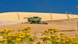A combine harvester working in a field.