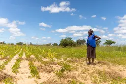 Woman standing in a field of plants.