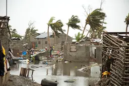 A flooded street with debris and palm trees, showcasing the aftermath of a heavy rainstorm.