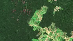A map from above showing a large green area (forest) with a large swathe of light green cutting through the centre, showing the extent of deforestatation.