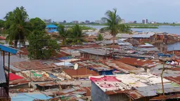 Close-packed housing with metal roofs. A bay and palm trees in the background.