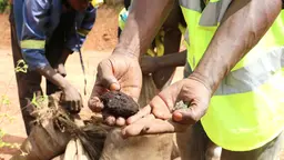 Miners showing minerals.