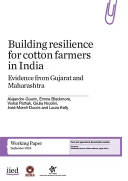 Building resilience for cotton farmers in India - cover image