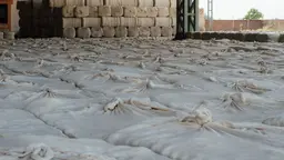 Bales of ginned cotton