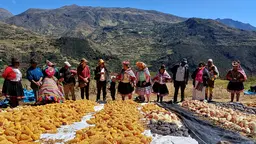 A group of colourfully dressed people stand behind a huge amount of amassed crops and in front of some impressive mountains under a blue sky.