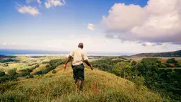 Image of person standing at the top of a hill looking into the distance in Mauritius.