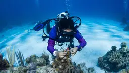 Marine biologist tending to reef on the Caribbean coastline.