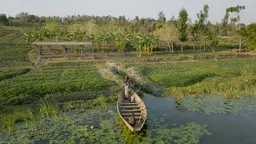 Image showing locals arricing by boat at a solar-powered irrigation system in Rwanda.