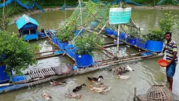 A man stands beside a river and a floating raft on which stand plant pots full of crops.