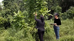 Two community members checking a tree in wetlands.