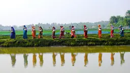 Group of women walking along the bank of a river, carrying big canisters on the way to get fresh water. They are wearing traditional, colorful clothing.