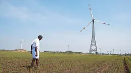 A farmer looks down as his rice crop starts to grow in a large field, with a wind turbine in the background.