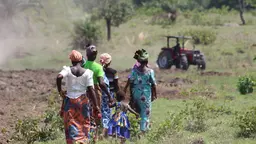 Group of women and a young child walking in a field.