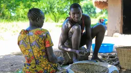 Two farmers sit on the floor next to a bowl of nuts, cracking them open. One of the is looking into the camera.