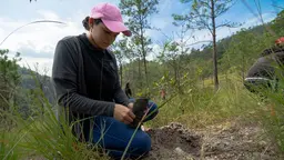 Woman sitting down and planting a tree in a field.