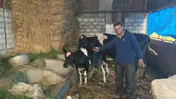 Farmer posing next to a cow and calf on his farm.