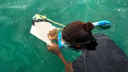 Woman swimming in water with diving equipment, writing data down on a clipboard.