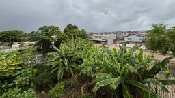 Dandara people's agroecological garden in Recife, Brazil.