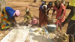 A grup of men and women extract seeds from fruit and lay out the seeds on blankets on the ground.