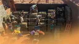 Workers toil to line up thousands of bricks under a hot sun.