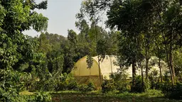 A huge fabric-covered tent-like structure is pictured through the trees in a forest.