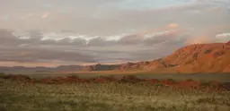 Image of Namibian drylands with a stone hill rising in the background.