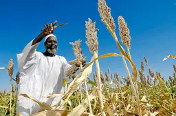 Does the development community focus too strongly on smallholders? (Credit: Flickr/United Nations Photo)