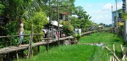 A woman walks along a bamboo walkway in Iloilo, Philippines.
