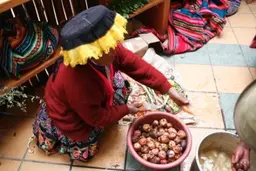 Potato Park, Pisaq, Peru (PLA65)