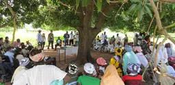 A large group of people sit under a tree and talk.