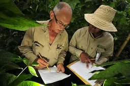 CCAFS, together with partners, is trying to develop new ways to communicate climate change adaptation. Photo: N. Palmer (CIAT) 