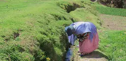 A woman tends an irrigation channel in the Bolivian ‘altiplano,’ or highlands. 