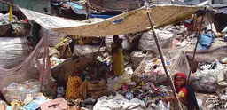 Women sort plastic bottles for recycling in Seema Puri, Delhi. 