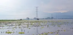 Flooded sugar cane fields near Colombia's third largest city, Cali, during an intense rainy season.