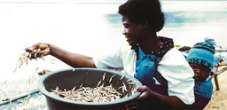 Sub Saharan African woman drying fish. Photo: Patrick Dugan via WorldFish on Flickr