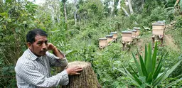 A beekeeper in Guatemala finds an alternative source of income. Photo: Todd Post/Bread for the World Institute