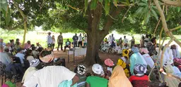 Growing Forest Partnerships meeting beneath the trees in Burkina Faso (Photo: Duncan Macqueen/IIED)