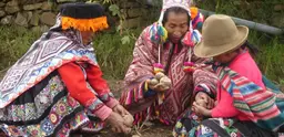 Indigenous communities sharing potatoes in the Potato Park, near Cusco, Peru. Credit: Asociacion ANDES