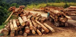 Logging truck in Cameroon. Credit: World Resources Institute (Creative Commons)