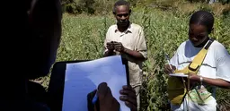 A field team designing a REDD strategy in Mozambique talk to farmer Nimale Maribu Saidi as part of their research (Photo: Mike Goldwater)