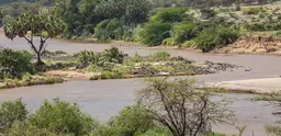 The Ewaso Ng'iro River, in Isiolo County's Shaba National Reserve, Kenya where pilot projects to support adaptation 'may not yet be perfect, but have the right idea'. (Photo: Ninara via Creative Commons http://creativecommons.org/licenses/by/2.0/)
