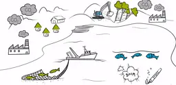 Watch an animation produced by IIED to highlight its sustainable fisheries work