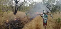 Members of Likawage Village Natural Resources Committee use beaters to prevent a lit fire from burning backwards towards farms (Photo: Deogratias Ndossi)
