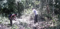 Local forest workers in Cambodia, one of the regions studied for a new report (Photo: Frontier Cambodia Forest via Creative Commons http://creativecommons.org/licenses/by/2.0/)