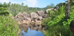 Unspoiled Seychelles landscapes and their rich biodiversity shouldn't be harmed by development (Photo: tiarescott, via Creative Commons http://creativecommons.org/licenses/by/2.0/)