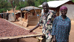 Two forest farmers from Ghana, including the head of a local community forest group, alongside some cocoa beans (Photo: Duncan Macqueen/IIED)