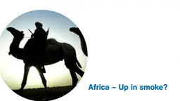 The Up in Smoke coalition is a unique and diverse network of development and environment organisations