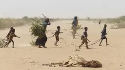 A family in Dadaab gathers sticks and branches for firewood and to make a shelter, while carcasses of animals that have perished in the drought are strewn across the desert (Photo: Andy Hall/Oxfam via Wikipedia Commons)