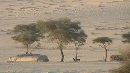 While one of the objectives of the 2014 World Day to Combat Desertification is to strengthen the visibility of the drylands on the international environmental agenda, much more is needed (Photo: Marie Monimart)