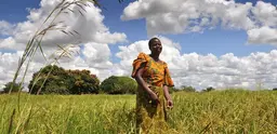 A small-scale farmer in Tanzania